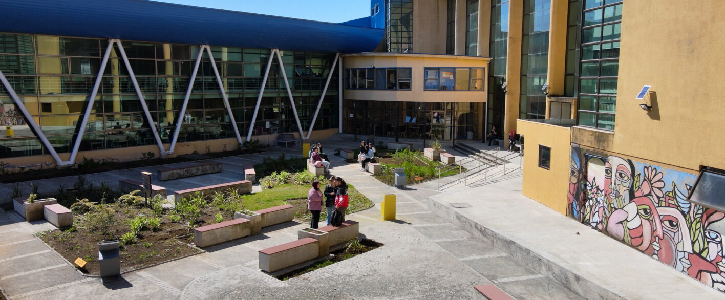 ULagos se proyecta en su rol de universidad estatal de la Región de Los Lagos